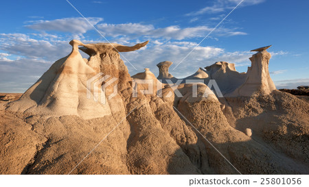 Bisti Wing 25801056