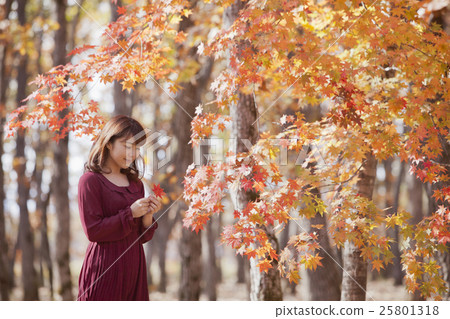 秋葉_女性 秋葉_女性 25801318