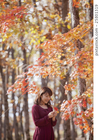 秋葉_女性 25801319