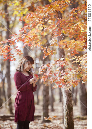 秋葉_女性 25801320