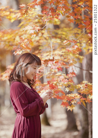 秋葉_女性 秋葉_女性 25801322