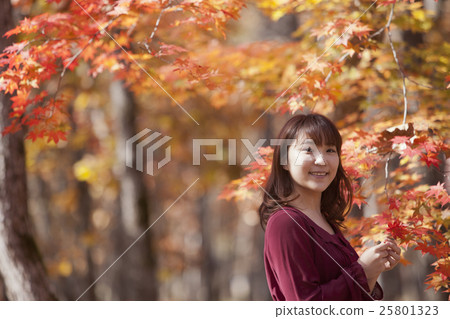 秋葉_女性 25801323