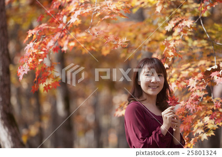 秋葉_女性 秋葉_女性 25801324