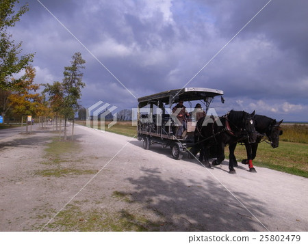 Silhouette from the opposite shore of Mont-St-Michel 25802479
