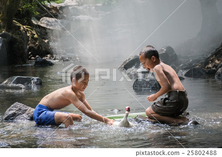 children are playing with duck 25802488