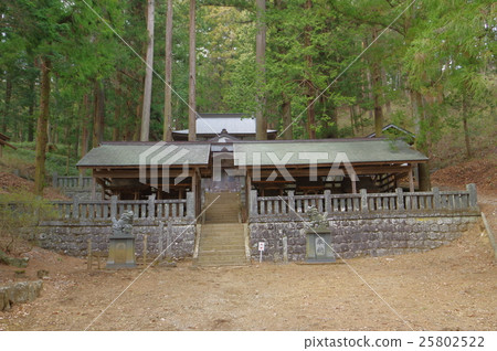 信州地區的新宿神社信州地區新沙神社神社大廳寶塔全景加入信仰作為驅蚊之神 25802522