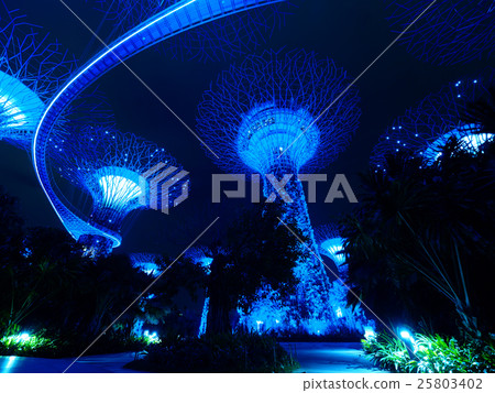 新加坡·超級樹 25803402