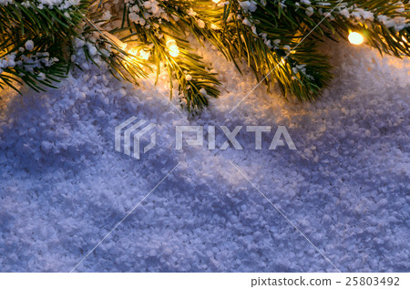 Christmas fir tree with lights Christmas fir tree with lights 25803492