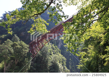 Red bridge 25804925