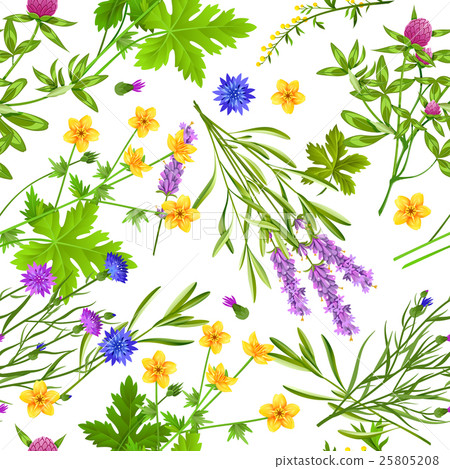 Herbs And Wild Flowers Seamless Pattern - Stock Illustration [25805208 ...