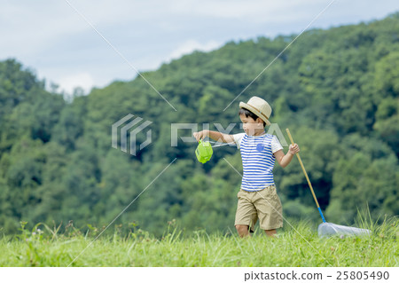 採取昆蟲的男孩在夏天銀行中 25805490