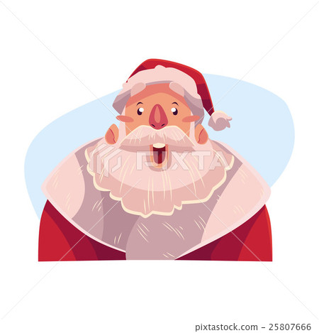 Santa Claus face, surprised facial expression 25807666