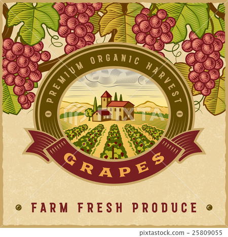 Vintage colorful grapes harvest label 25809055