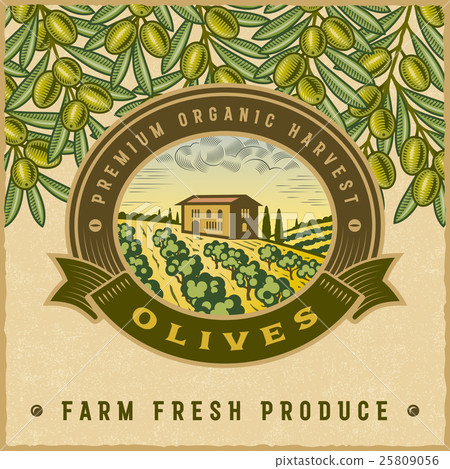 Vintage colorful olive harvest label Vintage colorful olive harvest label 25809056