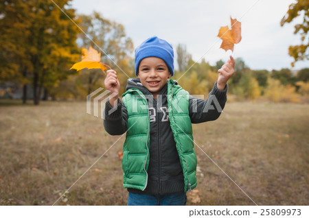 Closeup of young boy playing with Autumnal leaves Closeup of young boy playing with Autumnal leaves 25809973