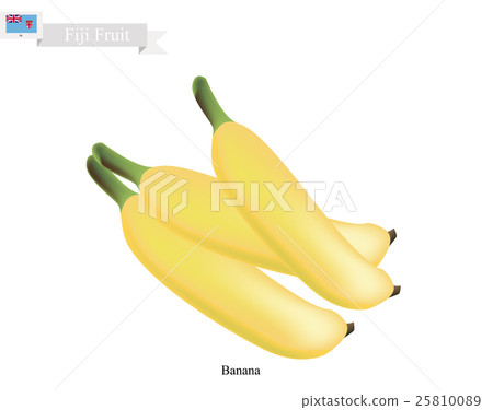 Golden Banana, A Popular Fruits in Fiji Golden Banana, A Popular Fruits in Fiji 25810089