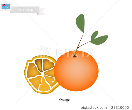 Fresh Orange, A Popular Fruits in Fiji Fresh Orange, A Popular Fruits in Fiji 25810090