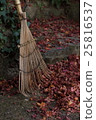 Sweep leaves 25816537