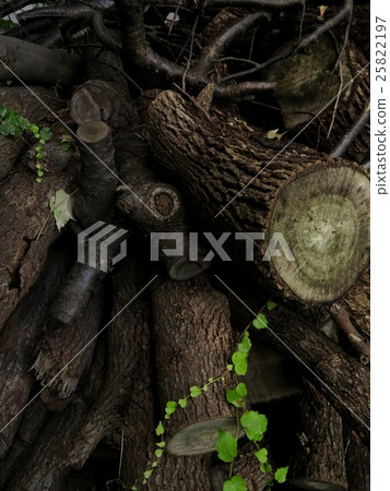 Prepare for winter Fireplace firewood 25822197