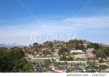 Kasumigajo Park in spring 25825017