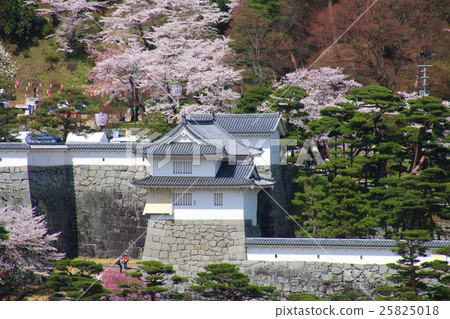 Kasumigajo Park in spring 25825018