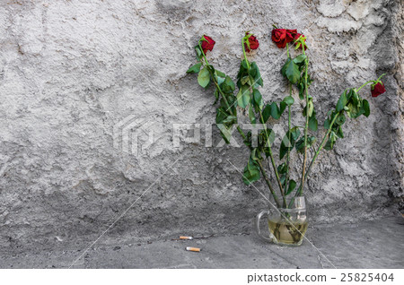 Roses dying Roses dying 25825404