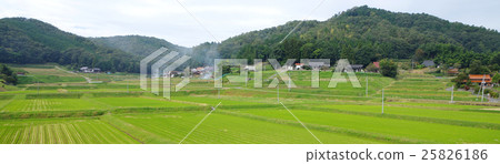 Countryside scenery banner Rice paddies after rice reclamation Farm house mountain range Countryside scenery banner Rice paddies after rice reclamation Farm house mountain range 25826186
