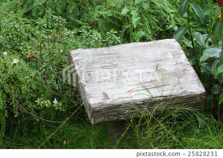blank pedestal cement stone in green garden blank pedestal cement stone in green garden 25828231