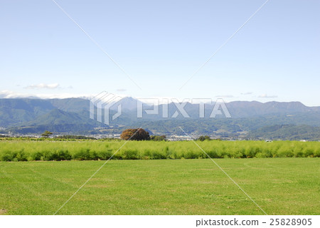 昭和村的風景 昭和村的風景 25828905