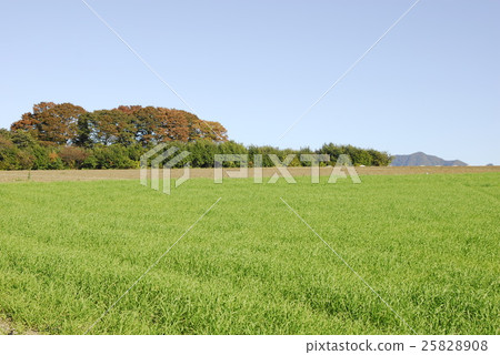 昭和村的風景 昭和村的風景 25828908