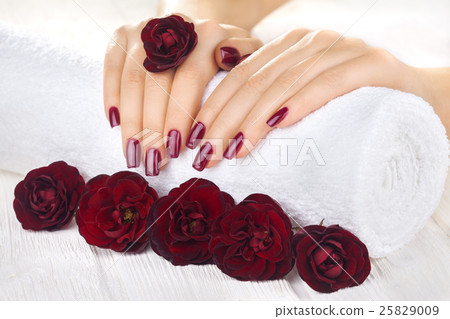 vinous manicure with rose flowers. spa 25829009