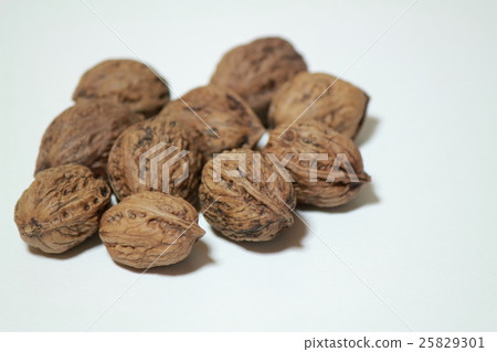 Walnut Walnut 25829301