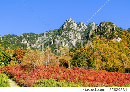 秋葉和落磯山脈 25829884