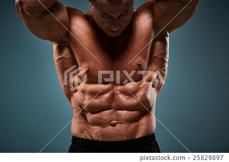 torso of attractive male body builder torso of attractive male body builder 25829897