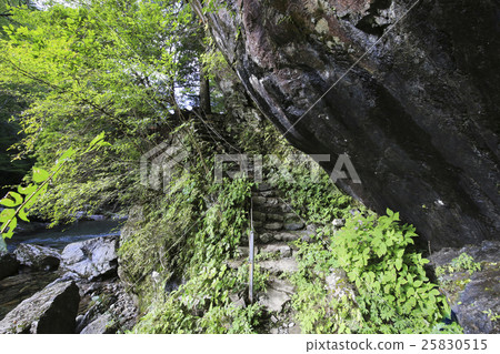 愛媛縣內川町Odagariyama谷腰部石岩 25830515