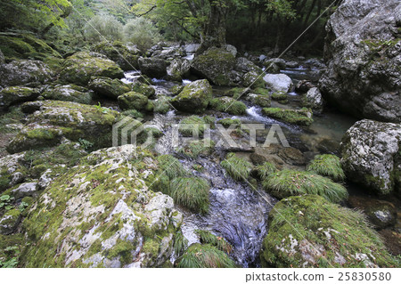 愛媛縣內子町Odagariyama谷Goshiki河 25830580