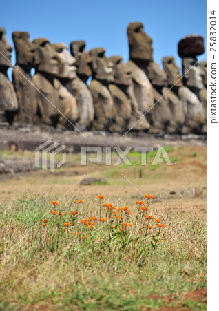 Flowers and Ah Tongariki Easter Island Moai Flowers and Ah Tongariki Easter Island Moai 25832014