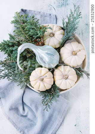 White decorative pumpkins White decorative pumpkins 25832900