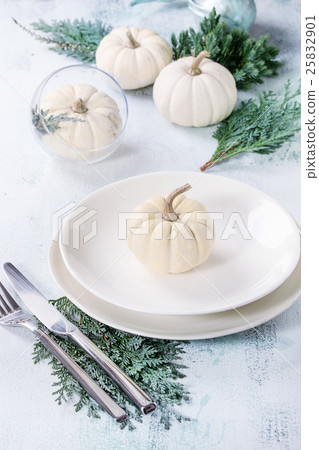 White decorative pumpkins 25832901