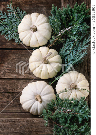 White decorative pumpkins White decorative pumpkins 25832903