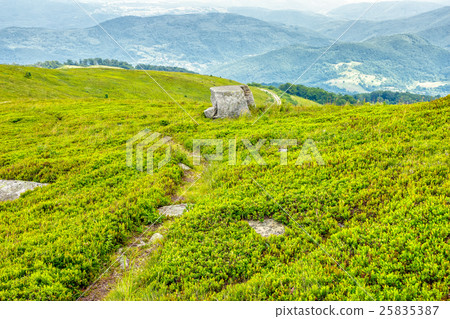 path through hillside in high mountains path through hillside in high mountains 25835387