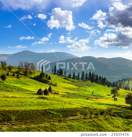 path near field with haystacks 25835478