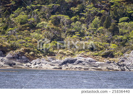 Chilean Fjords And Sarmiento Channel Chilean Fjords And Sarmiento Channel 25836440