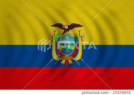 Flag of Ecuador wavy, real detailed fabric texture 25836658