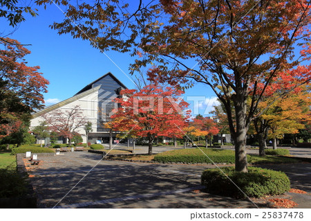 山形美術館廣場秋葉 25837478