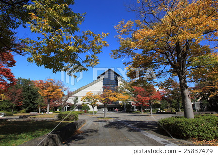 Yamagata Art Museum Plaza Autumn leaves Yamagata Art Museum Plaza Autumn leaves 25837479