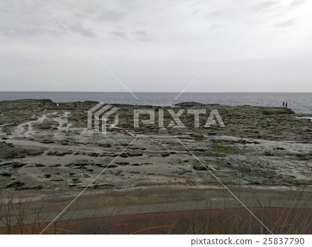Senjojiki海岸 25837790