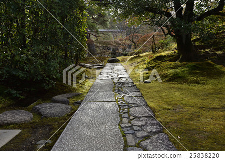 Katsura Rikyu outside the front stool "Stretching the line" 25838220