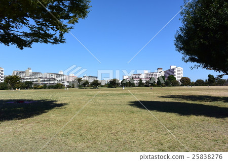 東京都大島小松川公園 東京都大島小松川公園 25838276