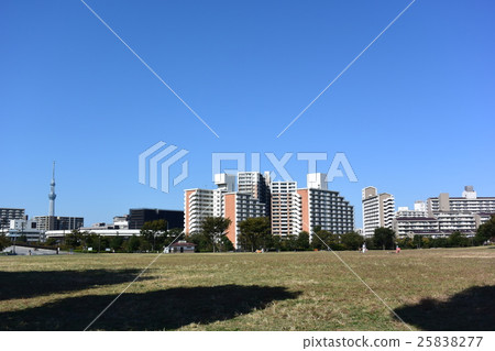 東京都大島小松川公園 東京都大島小松川公園 25838277